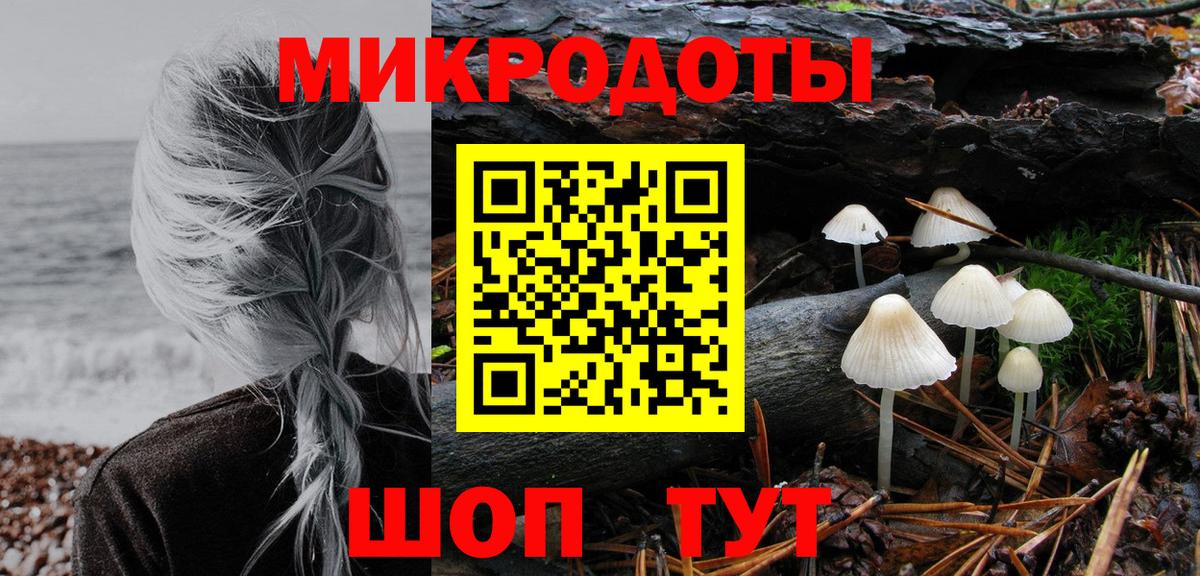 Галлюциногенные грибы мицелий Ростов Великий